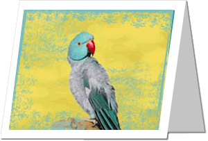 Ravi Greeting Card