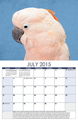 MAARS 2014 Flock Calendar