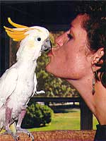 Baby - Citron Cockatoo (Photo  1999 Jamie McCarthy)