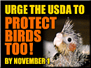 Urge the USDA to Protect Birds Too!