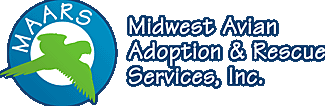 Bird adoption, sanctuary, rescue, and care education services for parrots and other captive exotic 'pet' birds. Based in Minneapolis - St. Paul (Twin Cities) area of Minnesota and serving Midwest.