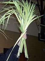 Many Christian churches use palm fronds as part of a Palm Sunday ceremony one week before Easter in the spring. Some churches are now making sure the greenery they use comes from environmentally and economically sustainable sources.