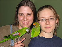 Hahn's Macaw, Mogwai, went home with Nicole, Kaisa, and Orange-fronted Conure, Ellie, right before Christmas 2004.