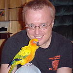 Sun Conure, Payton, fluffs up and looks tough with "dad," Scott Justus. Photo-shy Payton doesn't like cameras and goes into attack mode whenever she sees one!