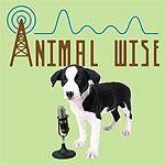 MAARS and captive bird issues were featured on July 23 as part of a 23-hour marathon of nonstop animal programming by Animal Wise Radio on AM 950 Air America Minnesota.