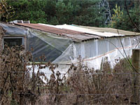 Most parrot breeding facilities are backyard affairs with no regulation.