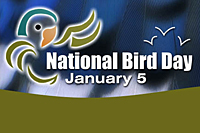 National Bird Day (January 5) is dedicated to raising awareness of the plight of exotic birds.