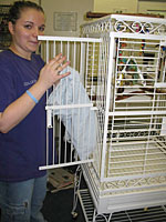 Volunteer Michelle Peka puts the finishing touches on a clean cage at The Landing.