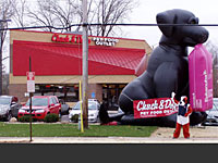 MAARS volunteers promoted proper bird care and adoption at the grand opening of the new Mahtomedi Chuck & Don's Pet Food Outlet on November 18. (Photo courtesy of Chuck & Don's Pet Food Outlet)